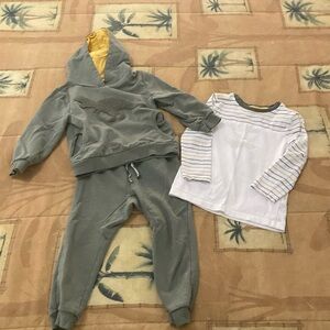 Dinosaur long sleeve shirt, hoodie, & pant set